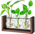 Glass Planter Bulb Vase with Retro Solid Wooden Stand and Metal Swivel Holder for Hydroponics Plants